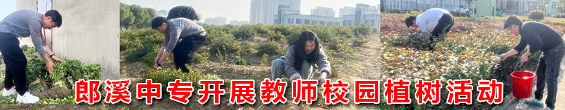 pg电子软件